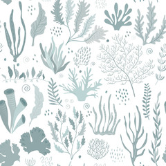 Vector seamless pattern with underwater ocean coral reef plants © Andrei