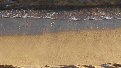 the beauty of a wave