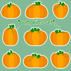 A set of stickers of nine pumpkin in a white stroke. Vegetable symbols of various shapes in a cartoon style. Vector illustration, flat design.