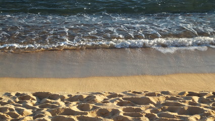 the beauty of a wave