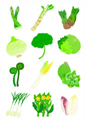 春野菜 Spring vegetables