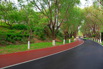 Park road landscape