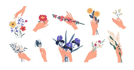 Collection of hands holding bouquets or bunches of blooming flowers. Bundle of floral decorative design elements isolated on white background. Set of elegant summer gifts. Flat vector illustration.