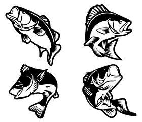 bass fish icons isolated on white background. Design element for logo, label, emblem, sign, brand mark. Vector illustration.
