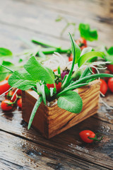 Concept of health vegan food