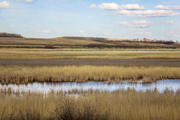 spring valley with dry yellow reeds, grass, trees and rivers with lakes under a blue sky with clouds