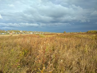 landscape with wheat field and blue sky