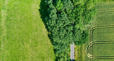 Aerial view from the vertical with bushes, trees and shrubs next to a meadow with furrows of the...