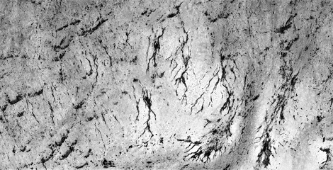 cave paintings, allegory, abstract naturalism, Black and white photo, abstract photography of...