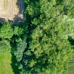 Fototapeta premium Aerial view from the vertical with bushes, trees and shrubs next to a meadow
