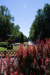 The Golden ring of Russia. Sunny summer day in Yaroslavl. Bank of the Kotorosl river.