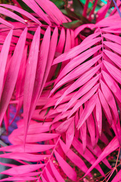Decoration of tropical leaves painted in bright neon colors.