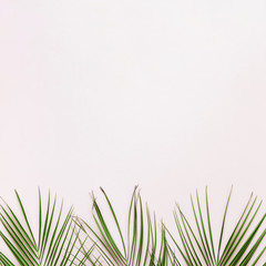 Fototapeta premium Flat lay of tropical leaves with copyspace