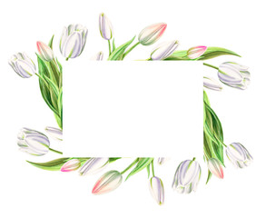 Beautiful white tulips photo frame. Floral collection. Marker drawing. Watercolor painting. Flower composition of design elements. Greeting card. Painted background. Hand drawn illustration.