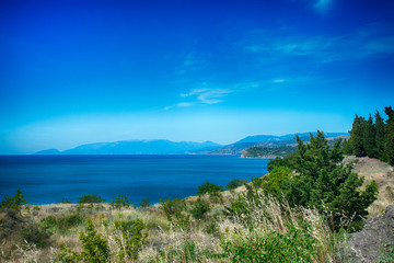 Coast of the Black Sea