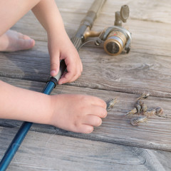 baby hands and fishing rod on wooden boards, a boy takes the bait shrimp, for fishing