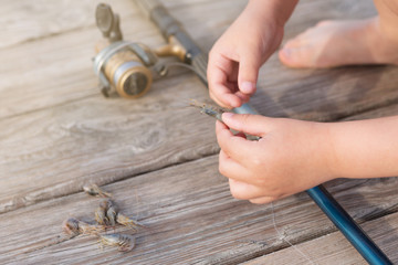 fishing concept, boy hands are holding shrimp and hook bait, on the background of wooden boards, close-up