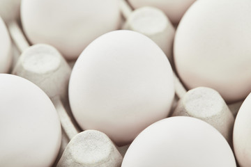 set of white chicken eggs in carton box
