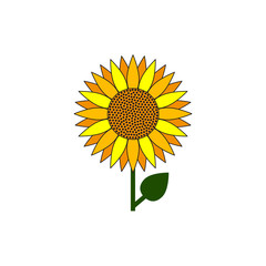 Sunflower icon, summer flower