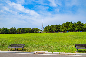 葛西臨海公園の芝生広場