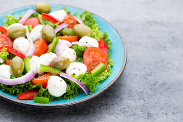 Vegetable salad with cheese mozzarella, tomatoes, basilikum and spice.