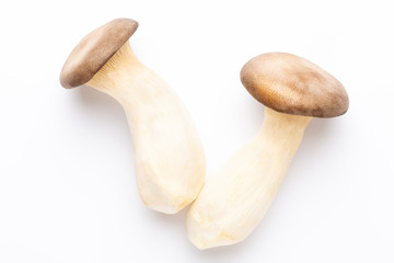 King oyster mushroom on white background.