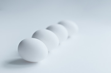 White egg isolated on white background