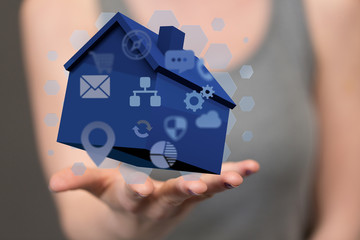 Model of the house and digital iot