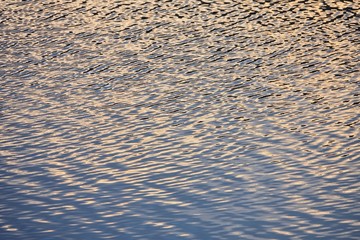 vivid reflective water surface