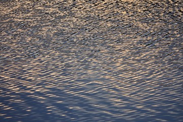 vivid reflective water surface