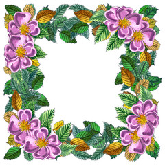 Floral Square Frame with pink wild rose, rose hip, dog rose, green and yellow leaves., hand drawn watercolor frame isolated on wthite.  Conner wreath with flowers of Dog rose.