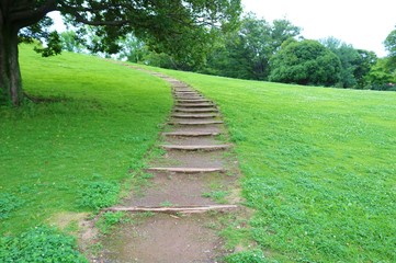 風景　夏　階段　上る　茨城　公園　