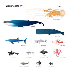 giant sea animal_02