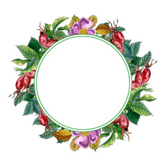 Floral Round Frame with pink wild rose, rose hip, dog rose, green  leaves and red berries, hand drawn watercolor wreath isolated on white.