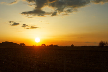 beautiful sunset on the field
