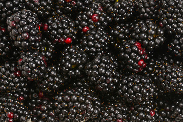 Backberry as a background.  Top view,