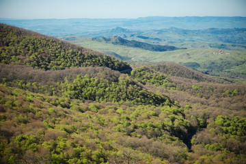 Fototapeta na wymiar High View On Mountains Covered Trees