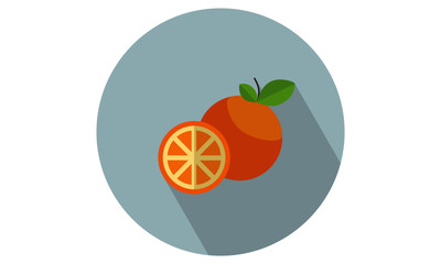 Orange with Orange slice vector illustration