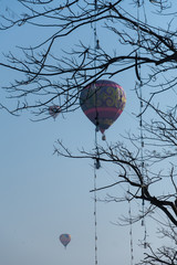 balloons fly in the blue sky with tree foreground