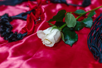 White rose, handcuffed and lash on a red silk background. Attributes of BDSM and role-playing sex...