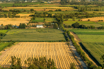 Crop fields and farms at Region del Maule in southern Chile