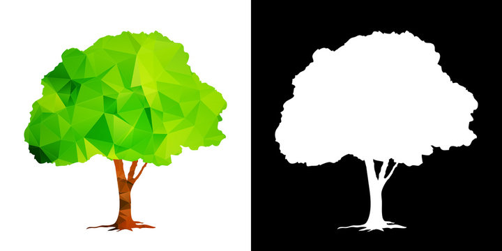 Polygonal tree isolated vector