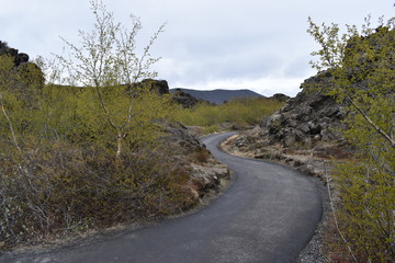 The lava field Dimmu Borgir in Myvatn, Iceland