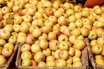 Fresh yellow apples in a farmer agricultural open air market, seasonal healthy food. Concept of biological, bio products, bio ecology, grown by yourself, vegetarians