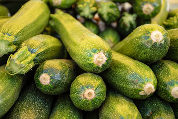 Fresh green zucchini or courgette in a farmer agricultural open air market, seasonal healthy food. Concept of biological, bio products, bio ecology, grown by yourself, vegetarians