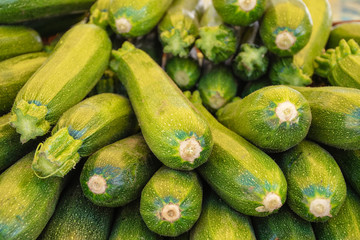 Fresh green zucchini or courgette in a farmer agricultural open air market, seasonal healthy food. Concept of biological, bio products, bio ecology, grown by yourself, vegetarians