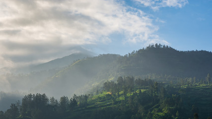 Obraz premium looking up at a mountain peak with clouds and mist creating a dramatic effect in the afternoon sunlight.