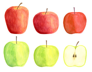 Watercolor apples set isolated on white background. Hand drawn red and green fruits and half for packaging, menu design, scrapbooking, cards, food wrapping
