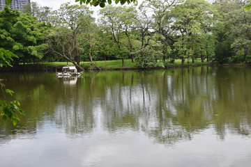 Fototapeta na wymiar lake and landscape beauty nature in garden park public bangkok Thailand and relax 