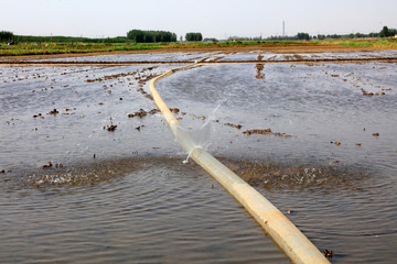 water pipe leaking
